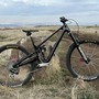 w4 Norco Sight 2024 1